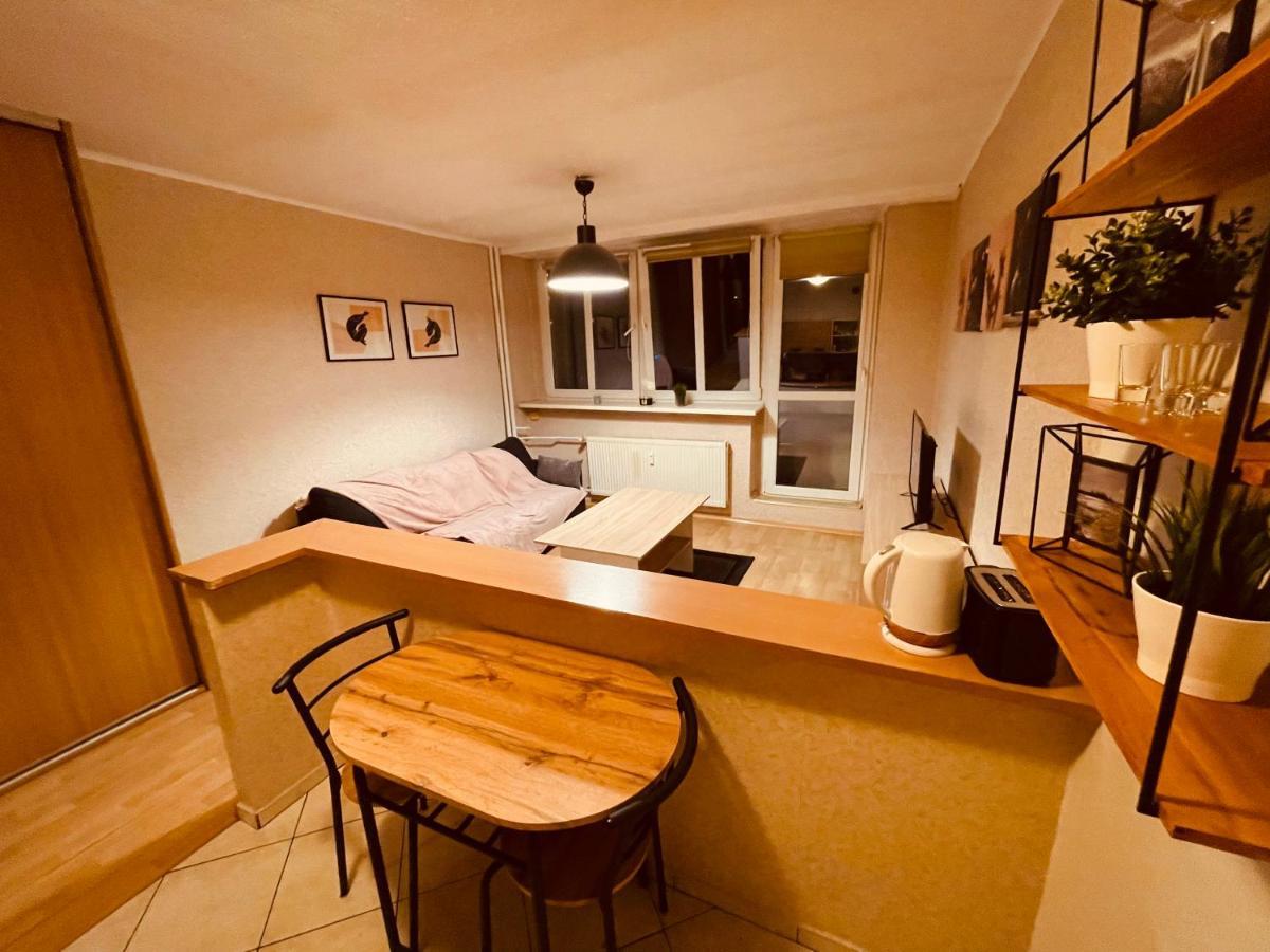 Apartamenty Ktw Park Slaski Luksusowy Prl Κατοβίτσε Εξωτερικό φωτογραφία