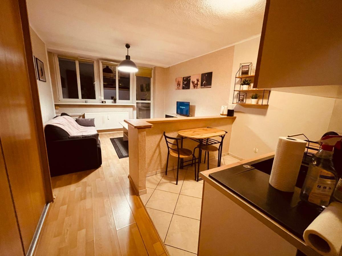 Apartamenty Ktw Park Slaski Luksusowy Prl Κατοβίτσε Εξωτερικό φωτογραφία